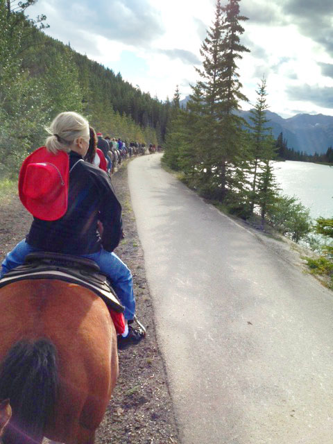 Horse trail
