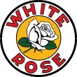 White Rose