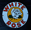 White Rose