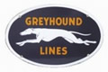 Greyhound